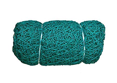 Cricket Net'