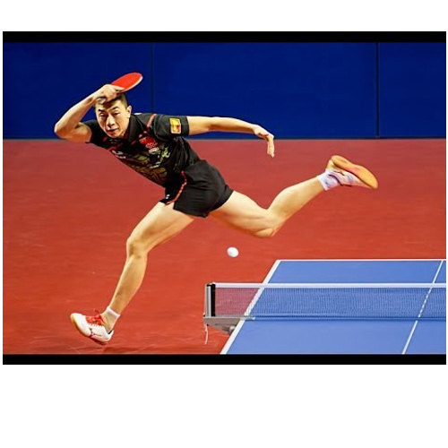 Table Tennis Table'