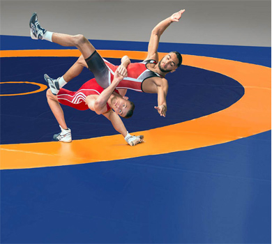 wrestling'