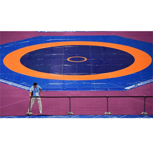 Wrestling Mat
