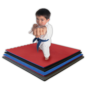 Interlocking Mat